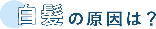 白髪の原因は?